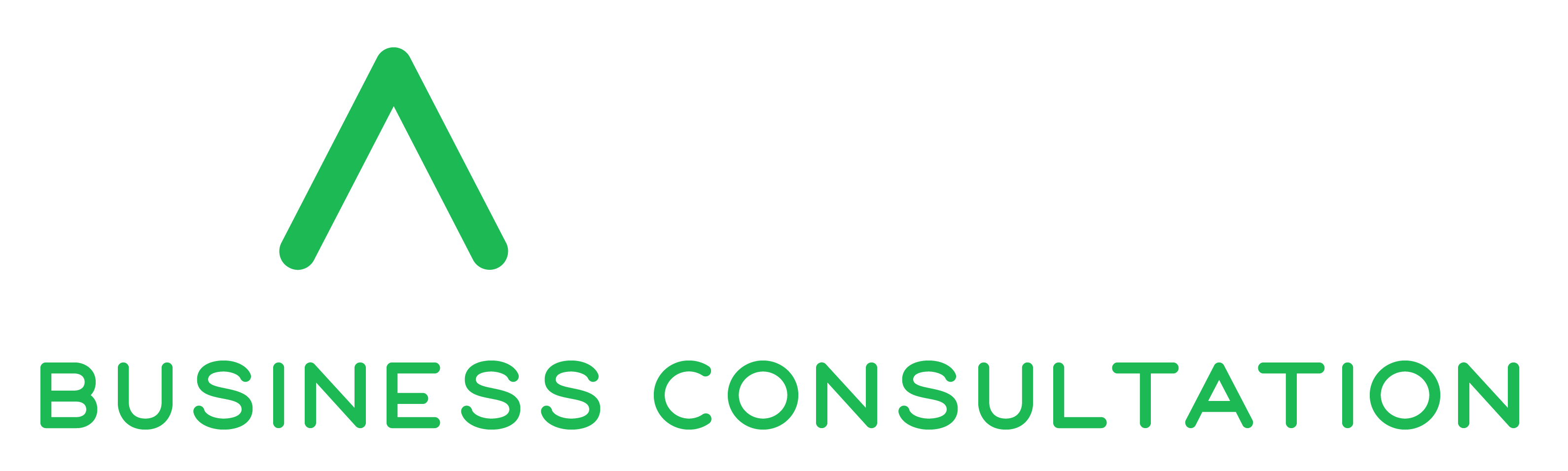 RankUp Business Consultation